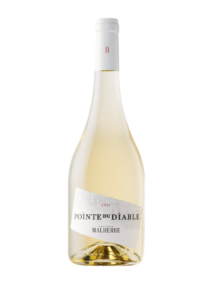 Pointe du Diable - Blanc - 2021