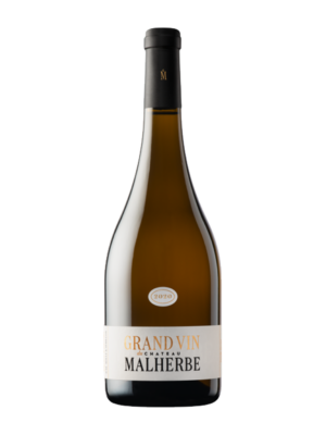 Grand Vin de Château Malherbe - Blanc - 2020